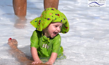The Best Swimming Pool Water Treatment System Available Today for Maintaining Safe, Disease-Free Water for Swimmers